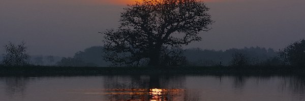 Zachód Słońca, Odbicie, Drzewo, Jezioro