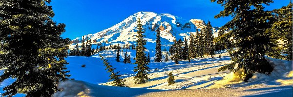 Góry, Drzewa, Śnieg, Zima