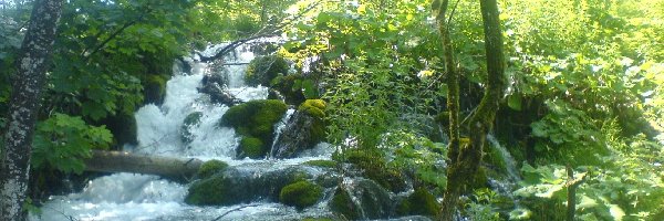 Kamienie, Plitvice, Drzewa, Wodospad