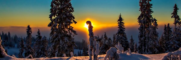 Śnieg, Zachód Słońca, Drzewa, Zima