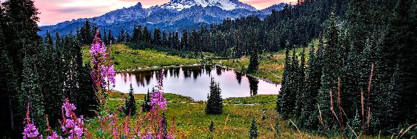 Góry, Park Narodowy Mount Rainier, Jezioro Tipsoo, Lasy, Stan Waszyngton, Stany Zjednoczone