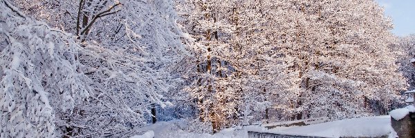 Zima, Drzewa, Oszronione, Most