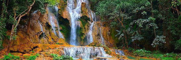 Las, Wodospad, Jeziorko, Laos, Kuang Si