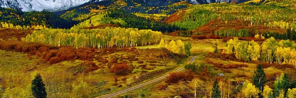Droga, Góry, Jesień