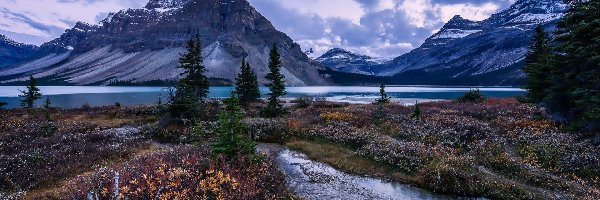 Kanada, Góry, Park Narodowy Banff, Drzewa, Jezioro Bow Lake