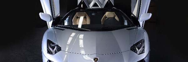 Aventador, Roadster, LP 700-4, Lamborghini