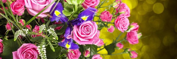 Bukiet, Irysy, Róże, Kwiaty