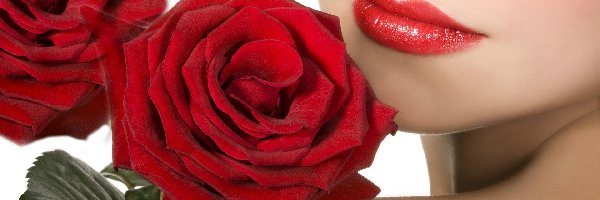 Usta, Róże, Czerwone, Kobieta