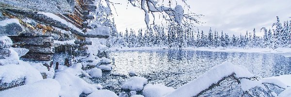 Drzewa, Jezioro, Dom, Śnieg