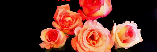 Róże, Miłosne, Bukiet, Kwiaty