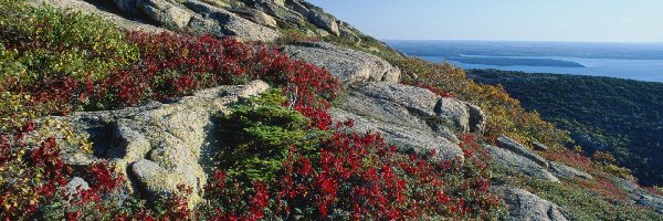 Stany Zjednoczone, Park Narodowy Acadia, Stan Maine, Skały, Morze