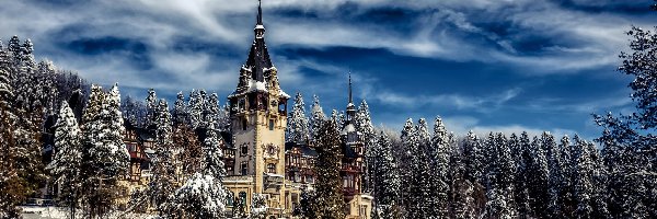 Zima, Miejscowość Sinaia, Rumunia, Drzewa, Castelul Peleş, Pałac Peles