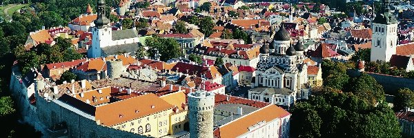 Miasto, Tallin, Estonia