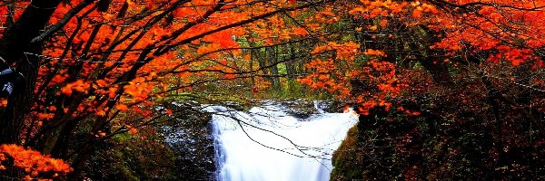Drzewa, Wodospad, Jesień