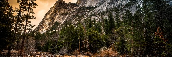 Góry, Park Narodowy Yosemite, Rzeka, Drzewa, Stan Kalifornia, Stany Zjednoczone