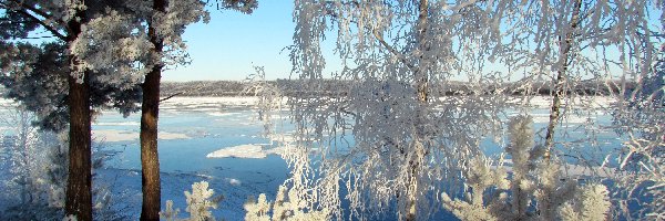 Zima, Drzewa, Rzeka, Rosja, Śnieg