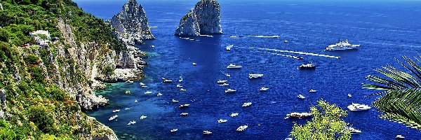 Capri, Włochy, Roślinność, Skały, Wyspa, Domki, Morze, Europa