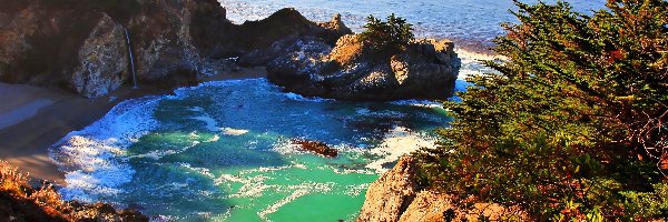 Morze, Wybrzeże, Zatoka, Kalifornia, Skały. Lilie