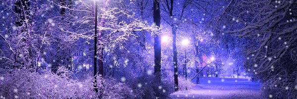 Zima, Noc, Park, Śnieg, Latarnie