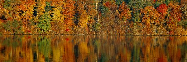 Kolorowe, Jesieni, Barwy, Odbicie, Jezioro