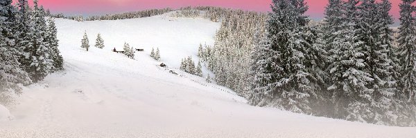 Zima, Słońce, Drzewa, Wzgórza, Ukraina