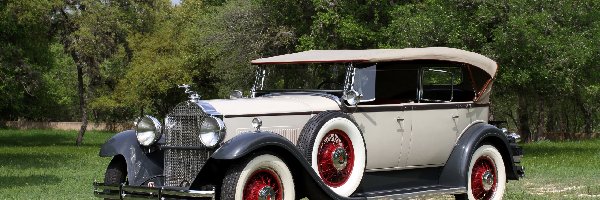 1931, Packard Standard 8 Convertible Coupe