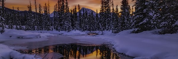 Rzeka, Zima, Las, Zachód Słońca, Park Narodowy Banff, Kanada