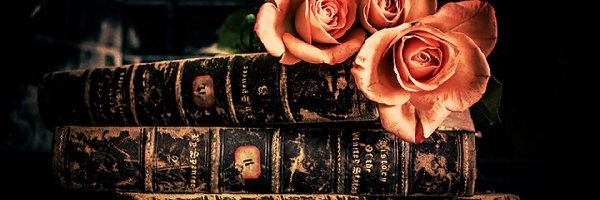 Stare, Bukiet, Księgi, Kompozycja, Róż