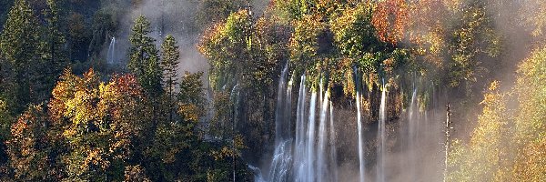 Las, Wodospad, Mgła, Jesień