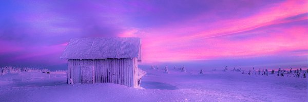 Zima, Drzewa, Domek, Norwegia
