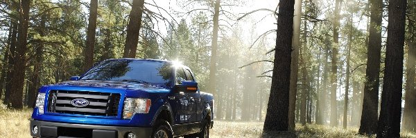 Ford, Trawa, Niebieski, Ranger, Drzewa, Las