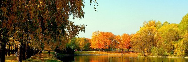 Park, Kolorowe, Rzeka, Jesień, Drzewa