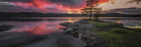 Jezioro, Drzewo, Chmury, Norwegia, Ringerike