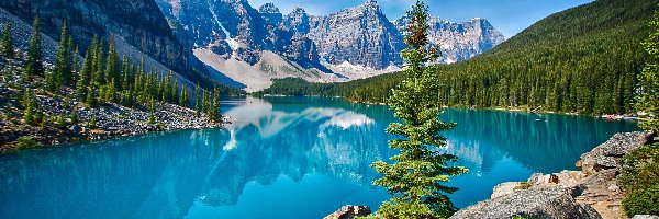 Jezioro Moraine, Park Narodowy Banff, Góry, Świerki, Prowincja Alberta, Kanada