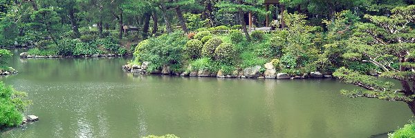 Japoński, Zieleń, Staw, Ogród
