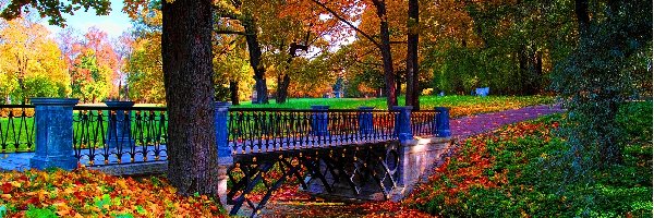 Jesień, Most, Park