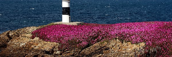 Latarnia morska Illa Pancha, Morze, Skały, Hiszpania