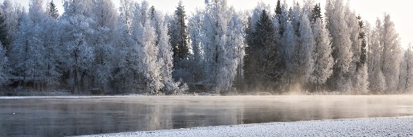 Zima, Drzewa, Rzeka, Mgła, Poranek