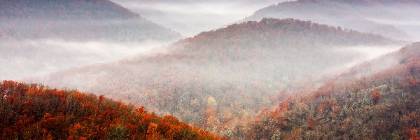 Las, Jesień, Mgła, Góry
