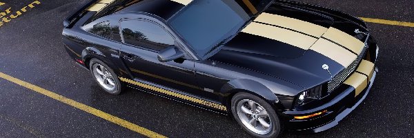 Pasy, Namalowane, Ford Mustang Shelby