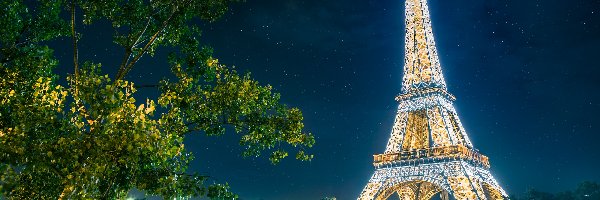 Sekwana, Most, Rzeka, Francja, Wieża Eiffla, Paryż