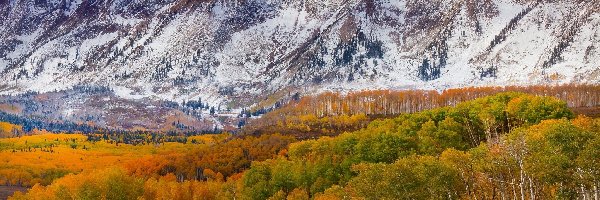 Góry, Stan Kolorado, Droga, Lasy, Jesień, Przełęcz Ohio Pass, Drzewa, Stany Zjednoczone