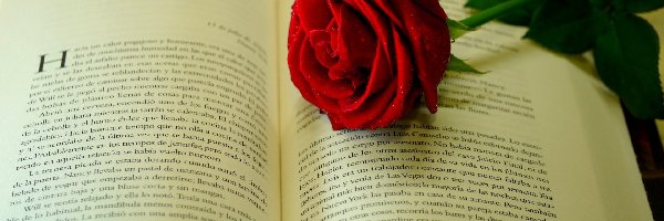Róża, Czerwona, Książka