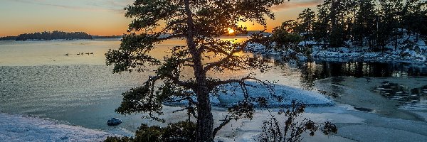Rzeka, Zachód słońca, Drzewa, Zima