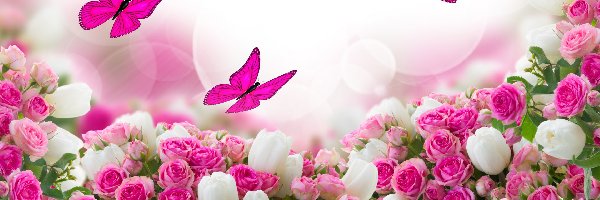 Komputerowa, Motyle, Grafika, Dzień Kobiet, Roze, Kwiaty