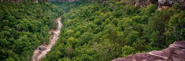 Drzewa, Rezerwat Narodowy Little River Canyon, Rzeka, Skały, Stan Alabama, Stany Zjednoczone