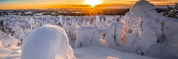 Śnieg, Drzewa, Zachód słońca, Zima