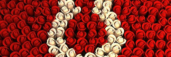Biało, Róże, Czerwone, Kobiet, Dzień