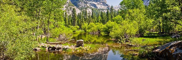 Odbicie, Park Narodowy Yosemite, Jezioro, Stan Kalifornia, Stany Zjednoczone, Drzewa, Góry