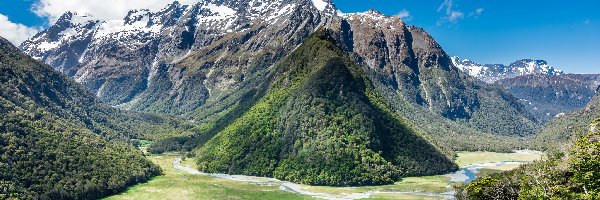 Góry Humboldta, Roślinność, Las, Nowa Zelandia